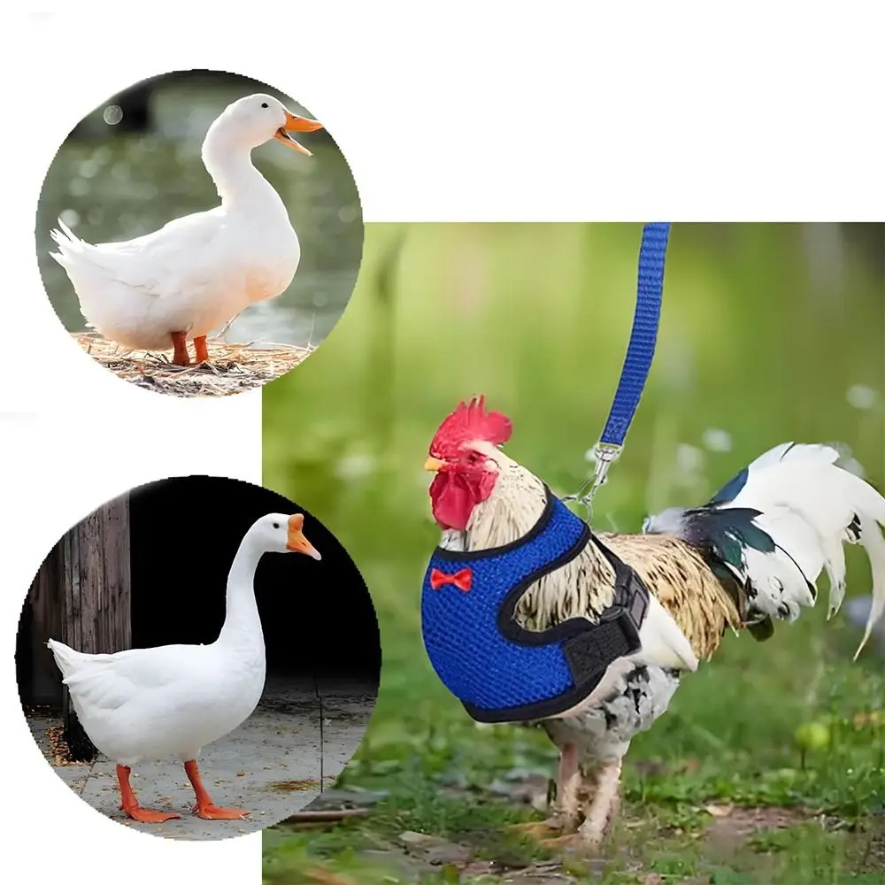 Portable Breathable Adjustable Duck Chicken Harness Matching Collars Bow Chicken Vest Comfortable Soft Hen Belt Duck