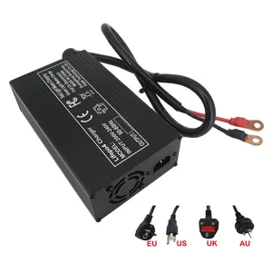 12 최고의 판매 골프 카트 충전기 -111