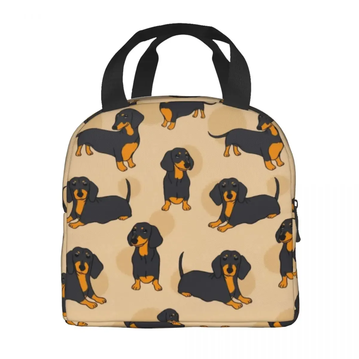 حقيبة غداء بنمط Teckel Dachshund للرجال والنساء، صندوق غداء معزول دافئ ومبرد للأطفال في المدارس