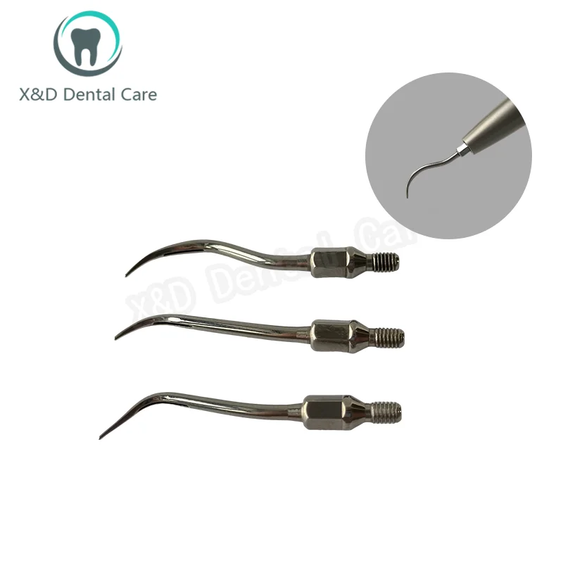 6 Pcs Dental Air scaler Tips Dentistry Clinic Accessories Instrument Teeth Cleaning/Whitening/Scalering Tools