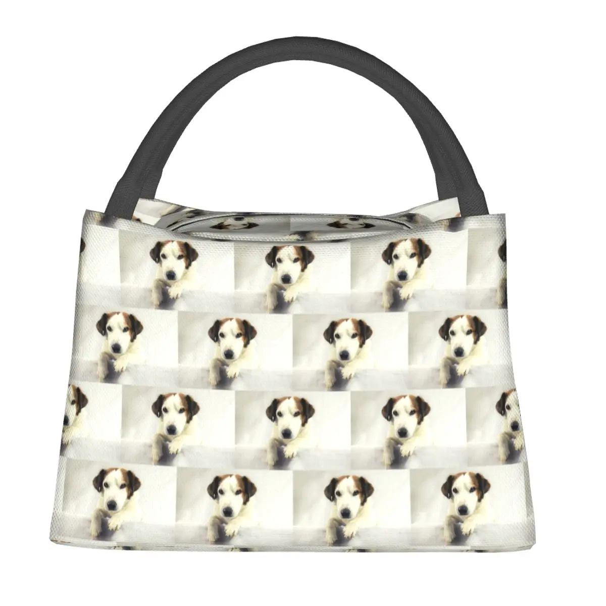 Dog Jack Russell Terrier Photo Insulated Lunch Bag for Women Children Portable Food Boxes Thermal Lunch Box Tote