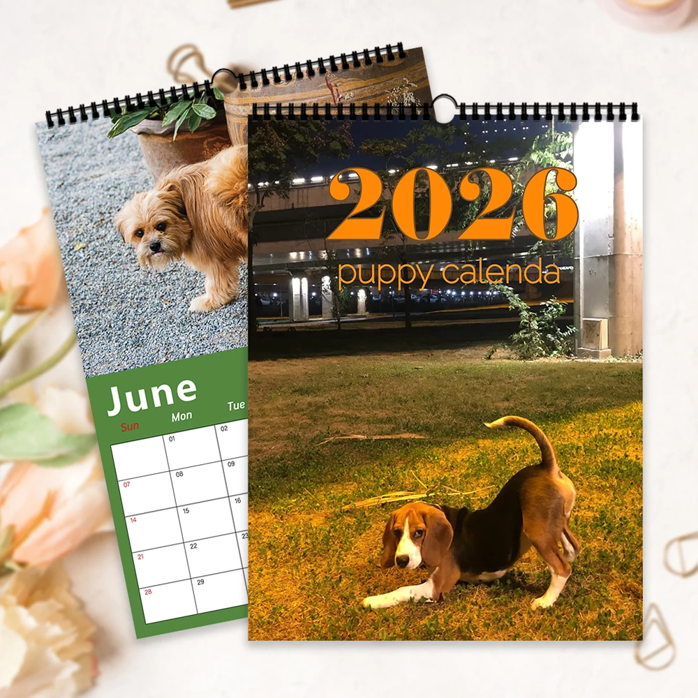 

Настенный календарь для собак большого размера, 1 шт., тема домашней собаки, 12 разных дизайнов, подходит в качестве подарка на дни рождения, Рождество и ближнее