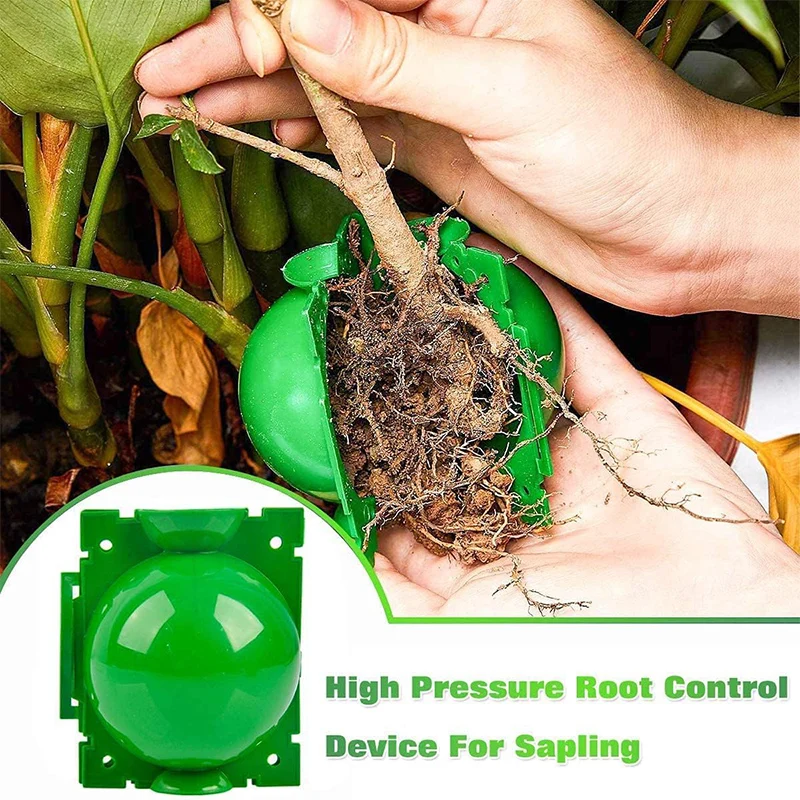5/30PCS Plant Rooting Ball Grafting Rooting Box Breeding Case High Pressure Plant Root Growing Box For Garden Planting Supplies