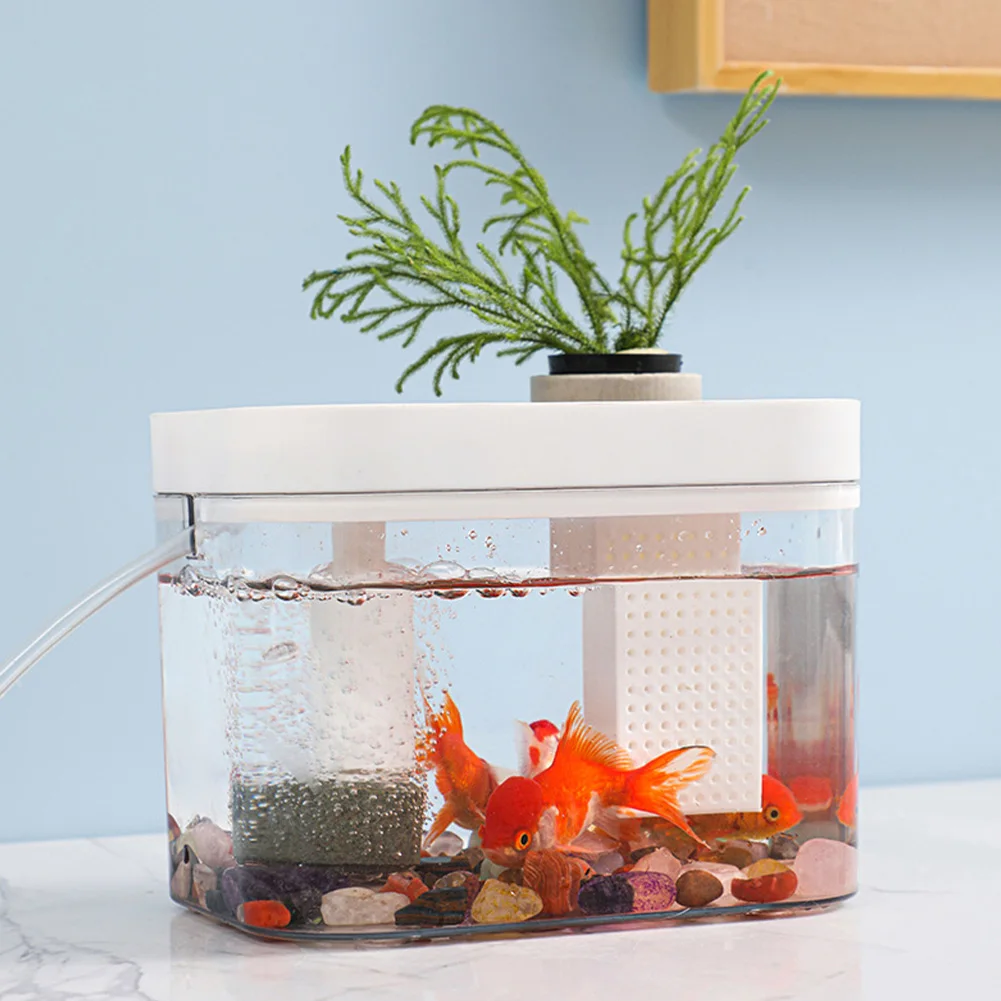 

Fish Tank With Lid Small Transparent Fish Tank With USB Air Pump Ecological Aquarium Tanks For Living Room Home Desktop Decor