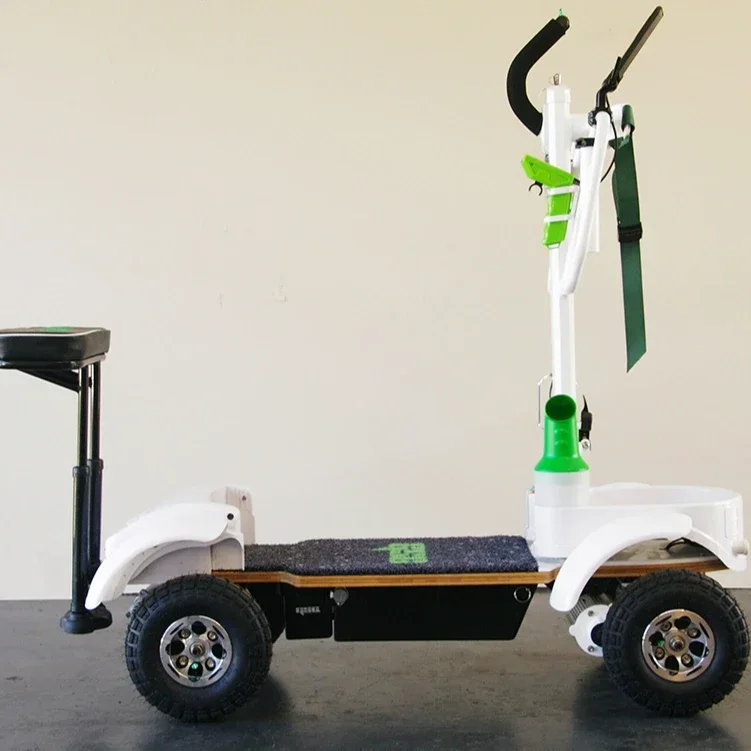 factory wholesale electric golf carts trolley board with test report