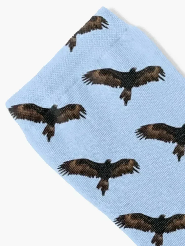 Wedge-tailed Eagle 2 Socks Crossfit designer brand new year Ladies Socks Men's