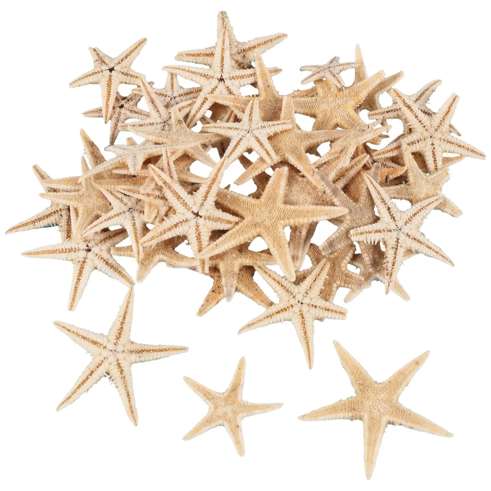 Small Starfish Star Sea Shell Beach Craft 0.4 inch-1.2 inch 90 Pcs