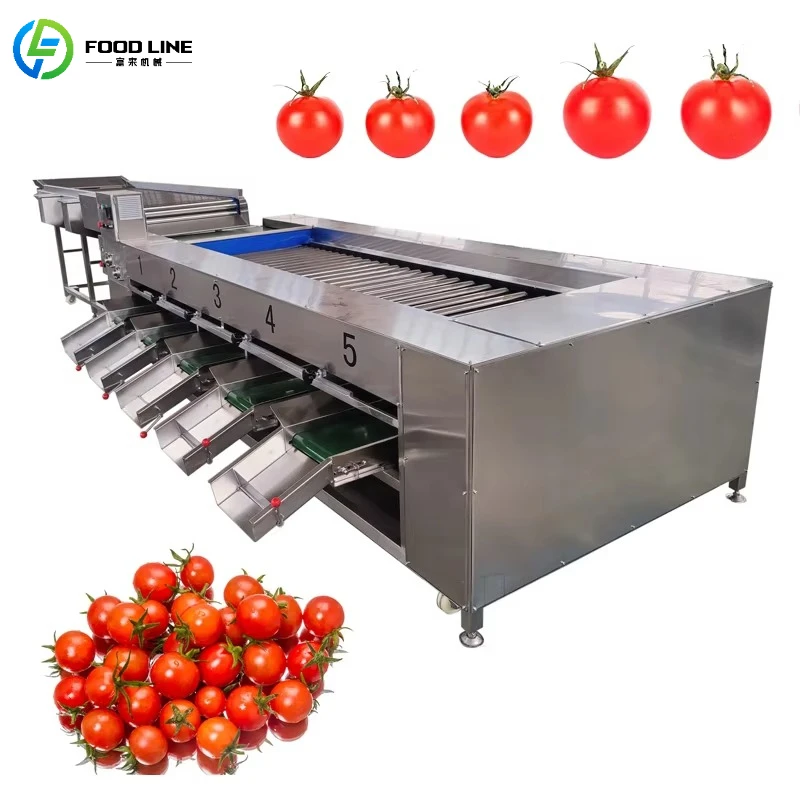 Industrial Lemon Pineapple Olive Cherry Fig Fruit Size Sorting Industrial Grader Machine Support Customized