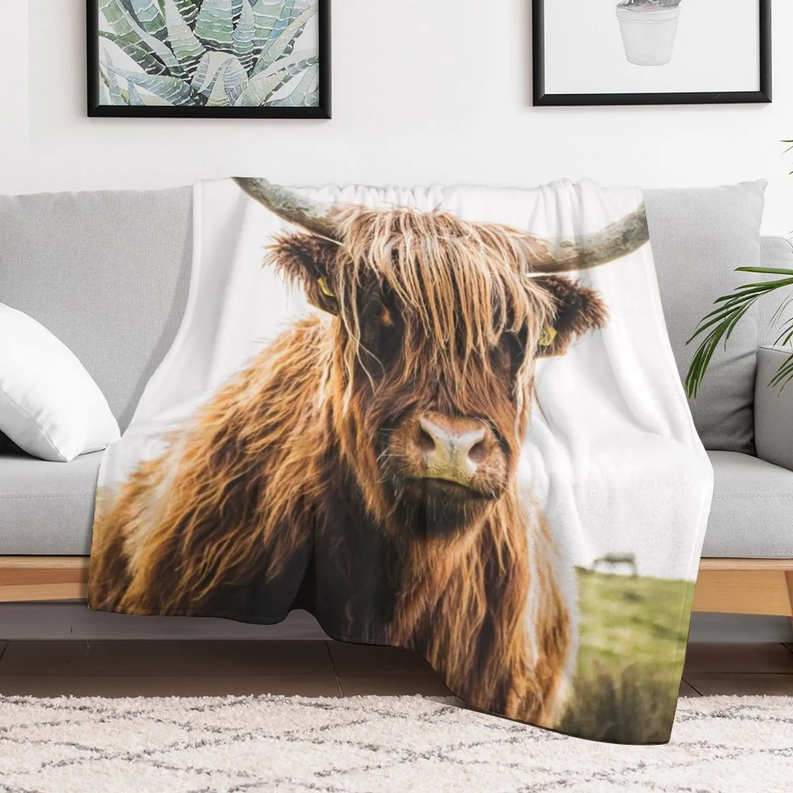 

Hairy brown cow in a meadow Throw Blanket Winter beds Decoratives For Baby Blankets