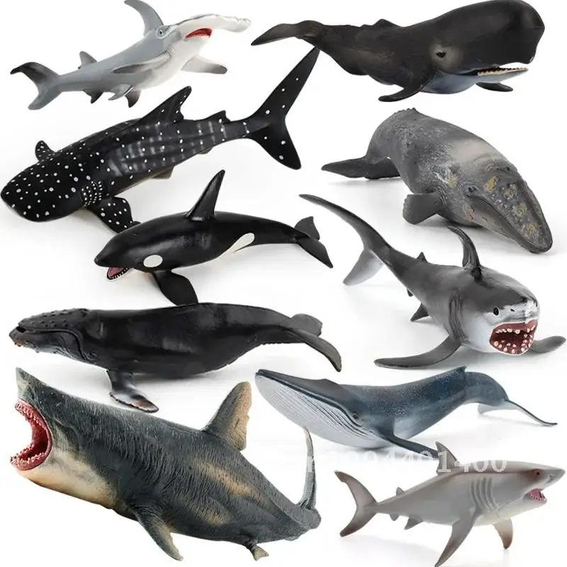 Jouet de simulation d'animaux marins pour enfants, grand requin, baleine, figurine, béluga, mégalodon dos, modèle