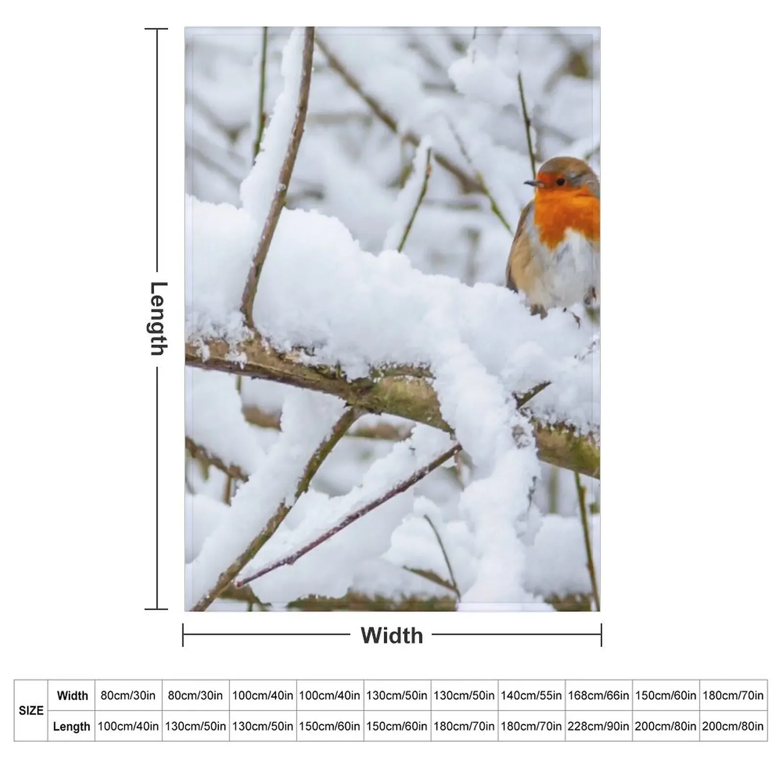 Snow-bound Robin Throw Blanket Cute christmas gifts Beach Loose Blankets