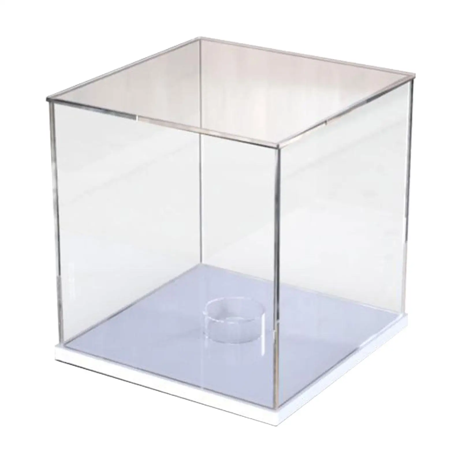 Soccer Ball Display Box Holder for Basketball Volleyball Rugby Acrylic Collectible Showcase with Base