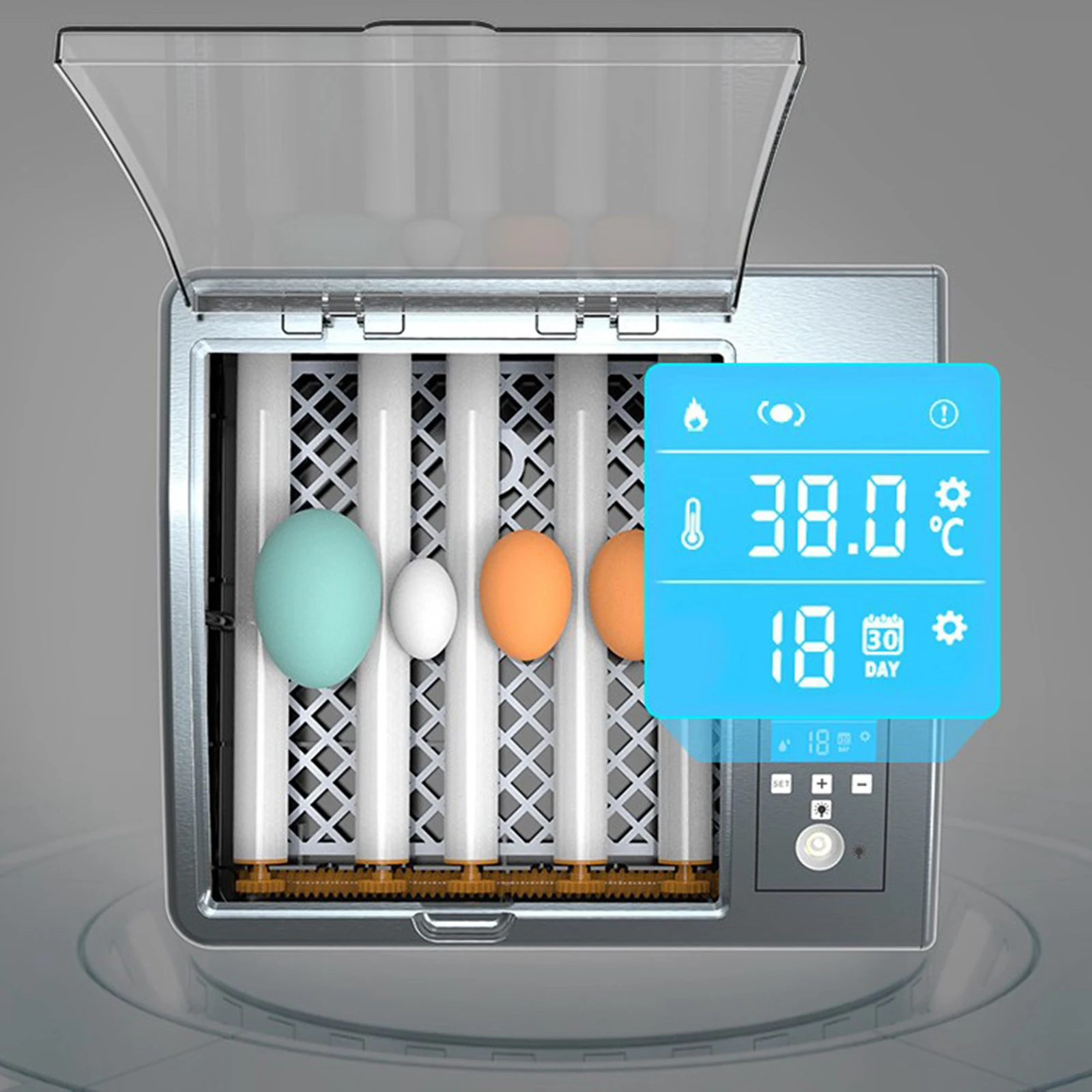 Imagem -04 - Incubadora de Ovos Totalmente Automática 16 Ovos Brooder Farm Incubation Tools para Frango Pato Pássaro Codorna Aves Domésticas Hatcher