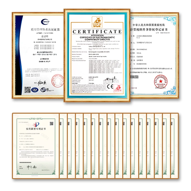 VFD Inverter Factory Direct Customized 0.75KW Single Phase 220V Water Pump AC Drive Frequency Converter with Vector Control