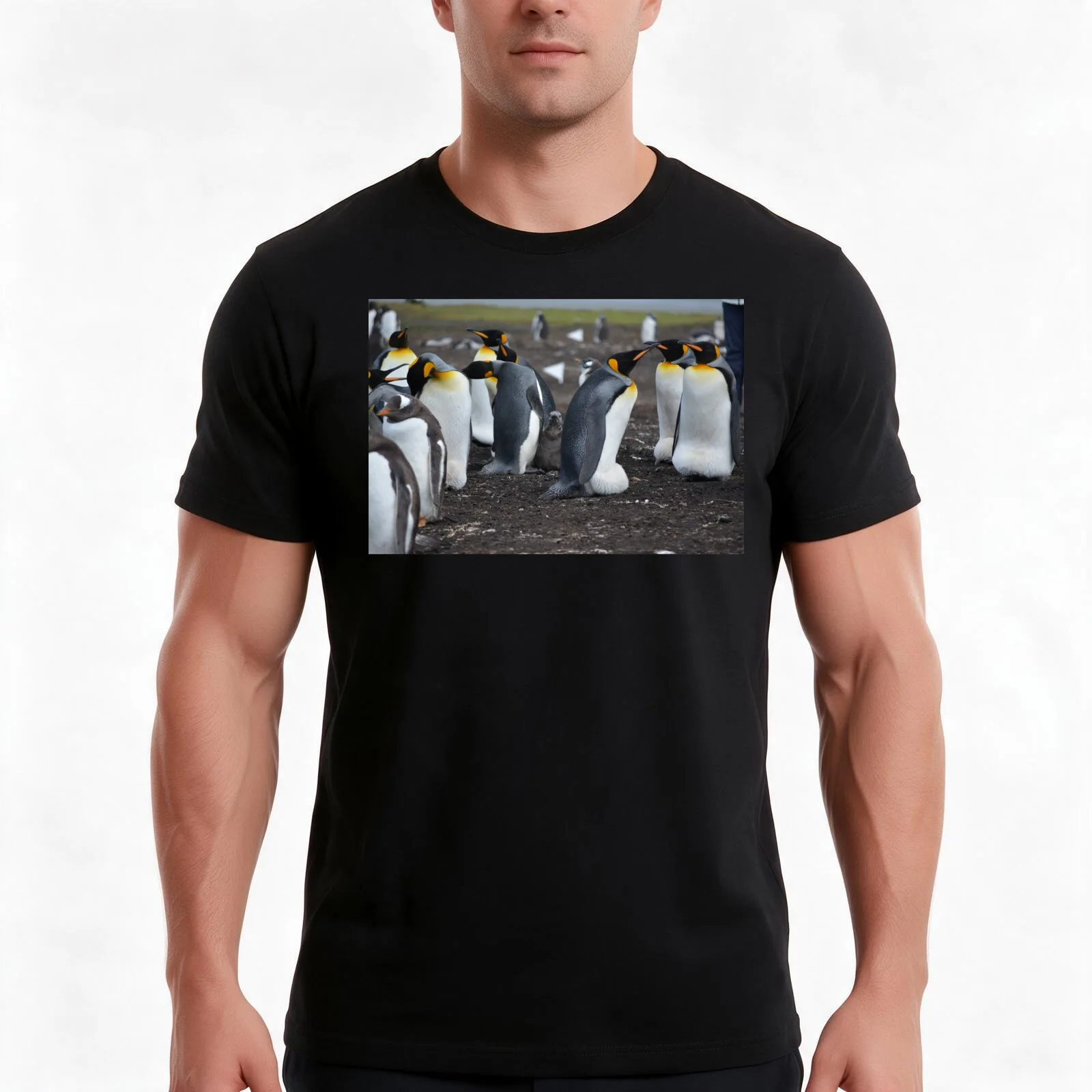 Beautiful Penguin photograph T-Shirt, Summer Casual Cotton Tee, Oversized Streetwear Tops, Vintage Graphic Print, 100% Cotton