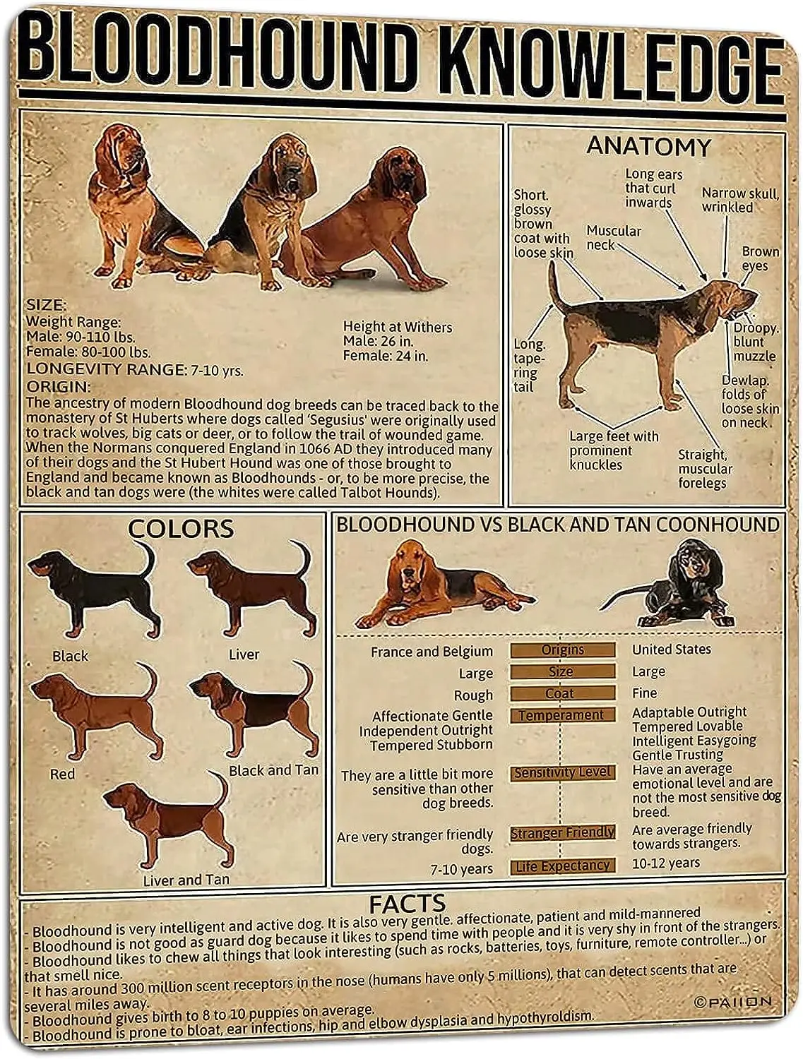 Dog Knowledge Metal Tin Sign Bloodhound Anatomy Chart Poster Retro Pet Shop Farm School Club Home Wall Decoration 8x12