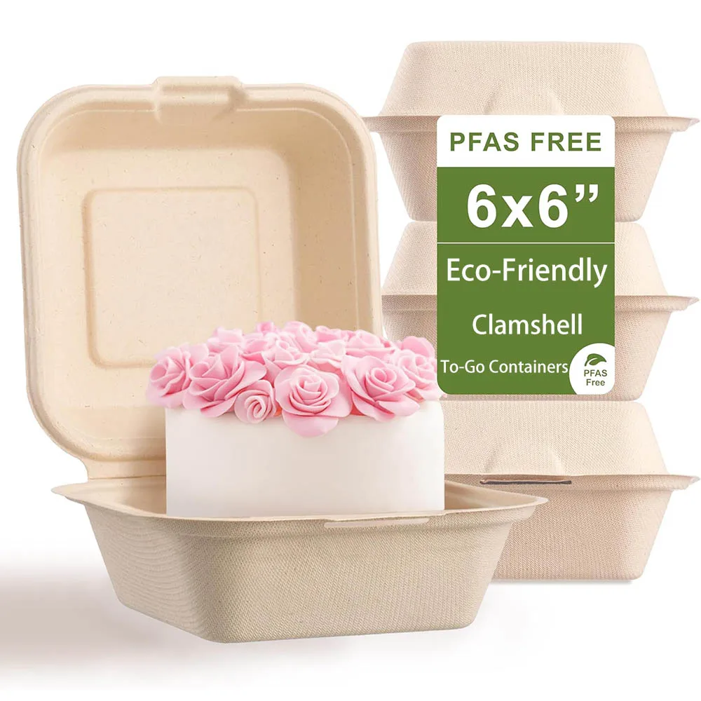 Disposable Eco-friendly Bento Box Cake Packaging Box Meal Storage Food Prep Lunch Box Fruit Salad Hamburger Packing Case