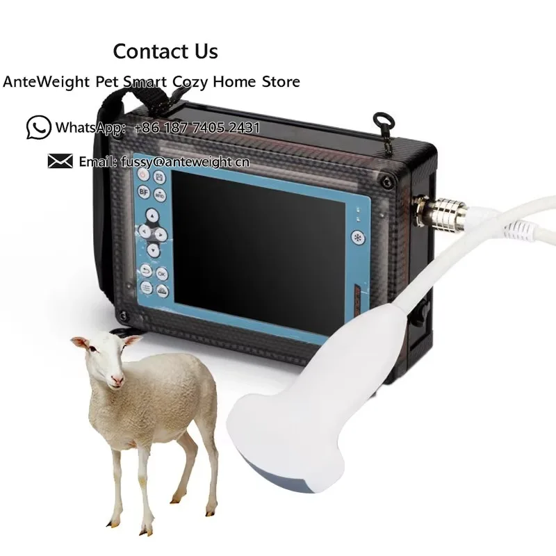 Portable Veterinary Ultrasound Machine for Sheep Goat & Pig Pregnancy Test 5.6inch Screen 3000mAh Battery AC 220V Power Source