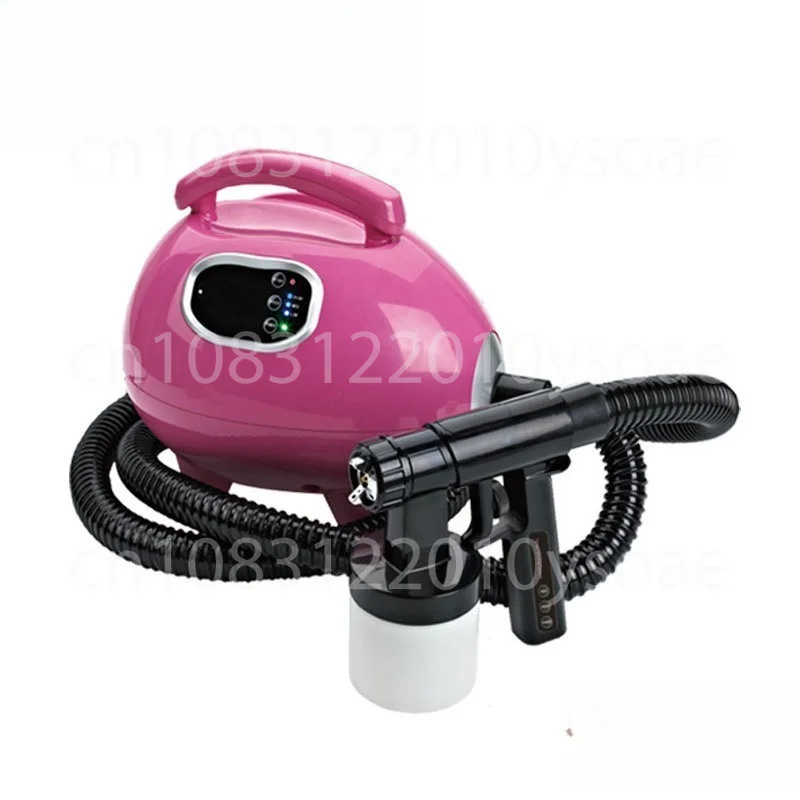 Sunless Tan Spray Machine Professional Electric Airbrush Salon SPA Beauty Ning Er Air Brush For Home