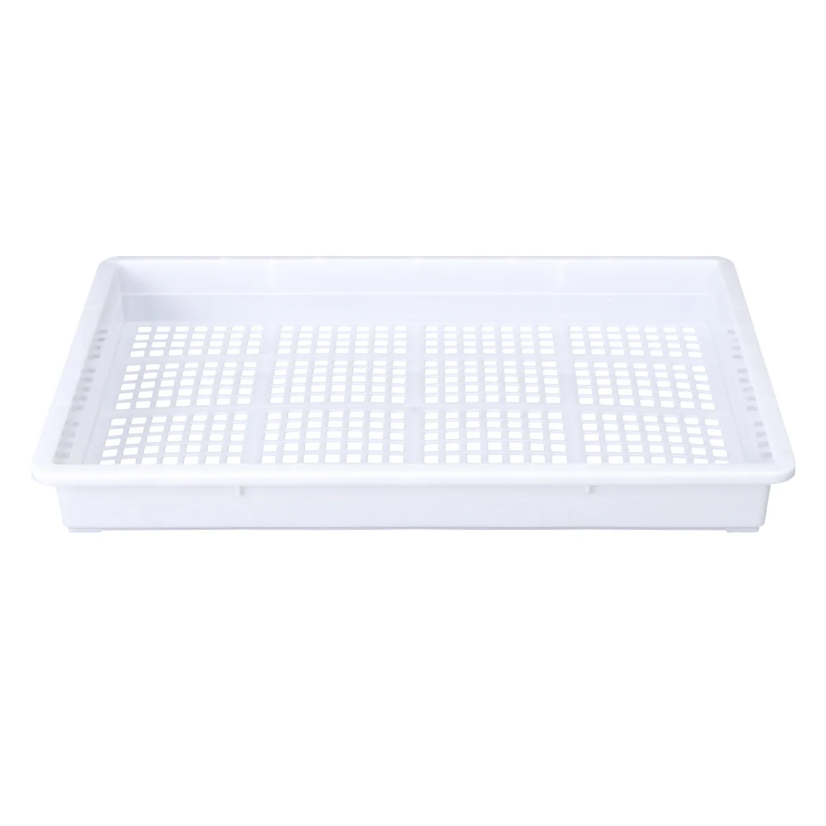 

Hydroponic Nursery Tray Sprouter Drain Holes for Soya Mung Wheatgrass Vegetable Planting Trays Storage
