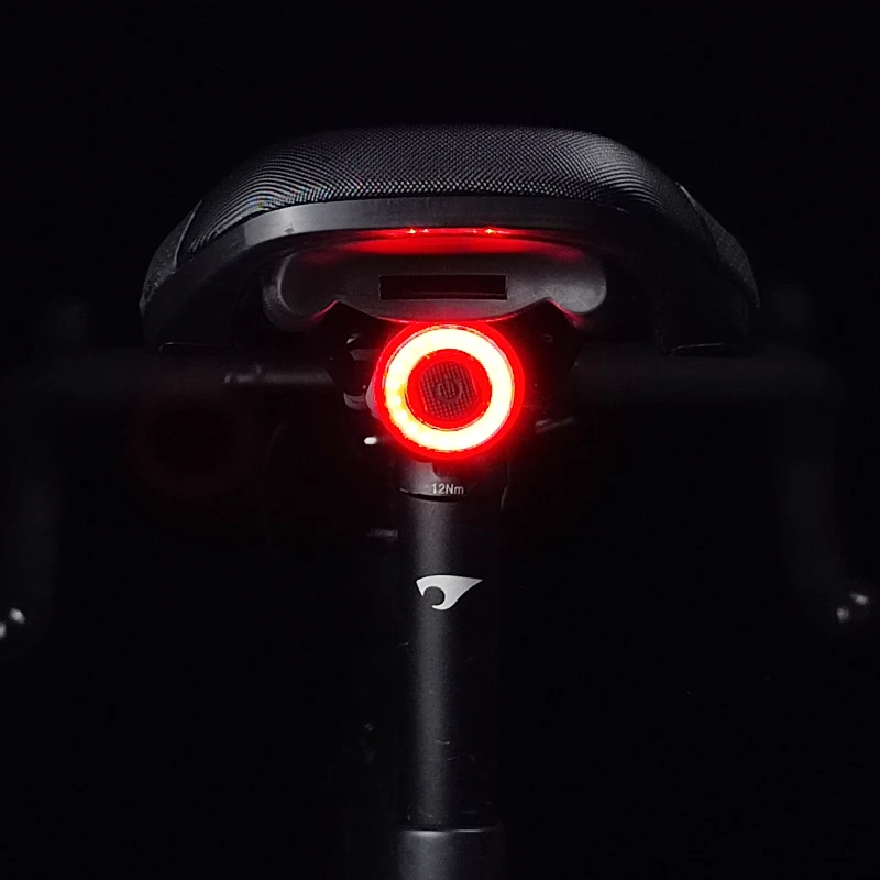 TOPRIDER Smart Bicycle Rear Light Auto Start/Stop Brake Sensing IPx6 Waterproof USB Charge cycling Tail Taillight Bike LED Light