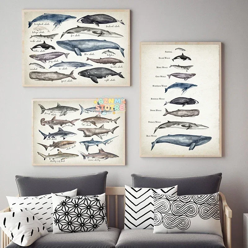 （2D Canvas painting） Sharks of The World Art Canvas Prints Great White Shark Poster Mako Hammerhead Tiger Bull Basking Whale