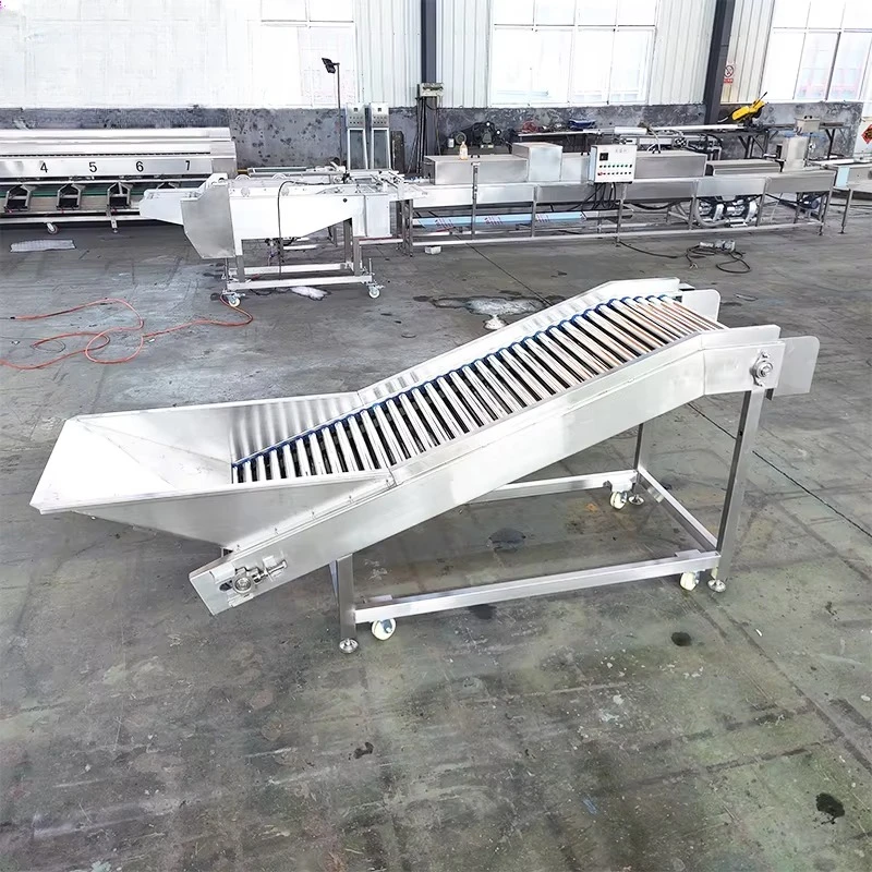 Onion Orange Blueberry Potato Avocado Date Fruit Tomato Sorter Grading Sorting Machine