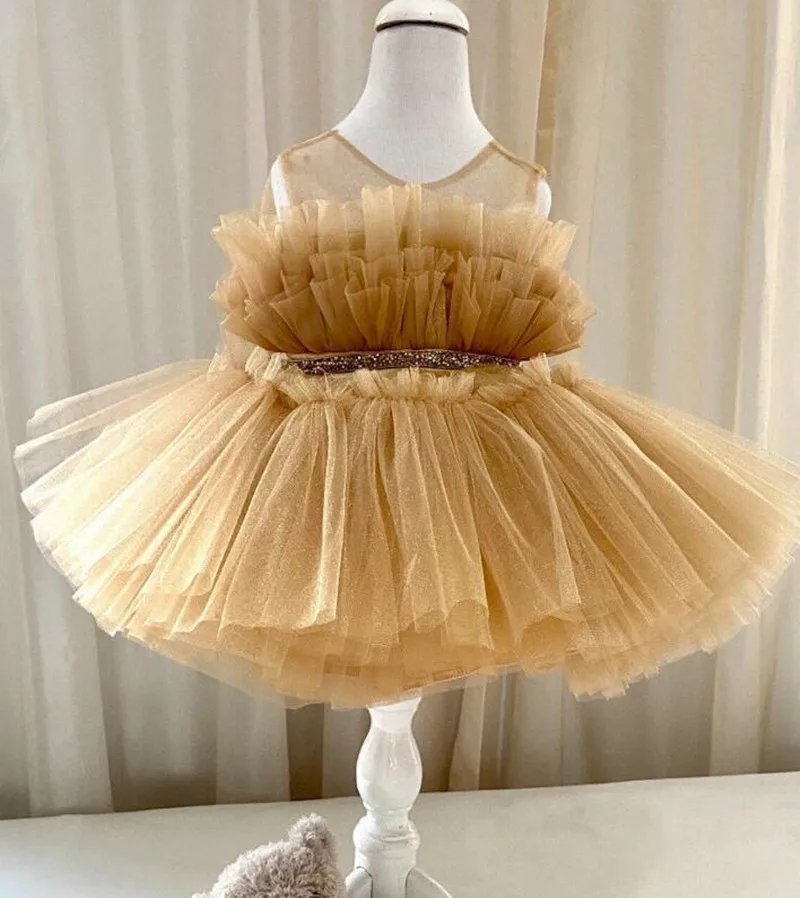 

Fluffy Skirt Customized Color Baby Girl Dress Sheer Neck Silver Beaded Ribbon Flower Girl Dress Infant Tutu Outfit