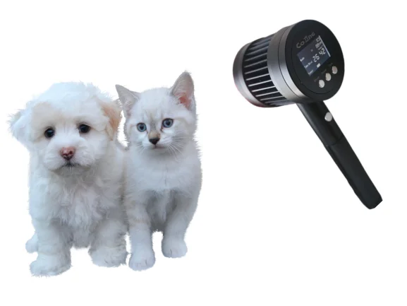 

High Power 1295mW Laser Therapy Machine for Humans & Pets – Safe and Non-Invasive