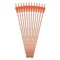 Orange 12pcs