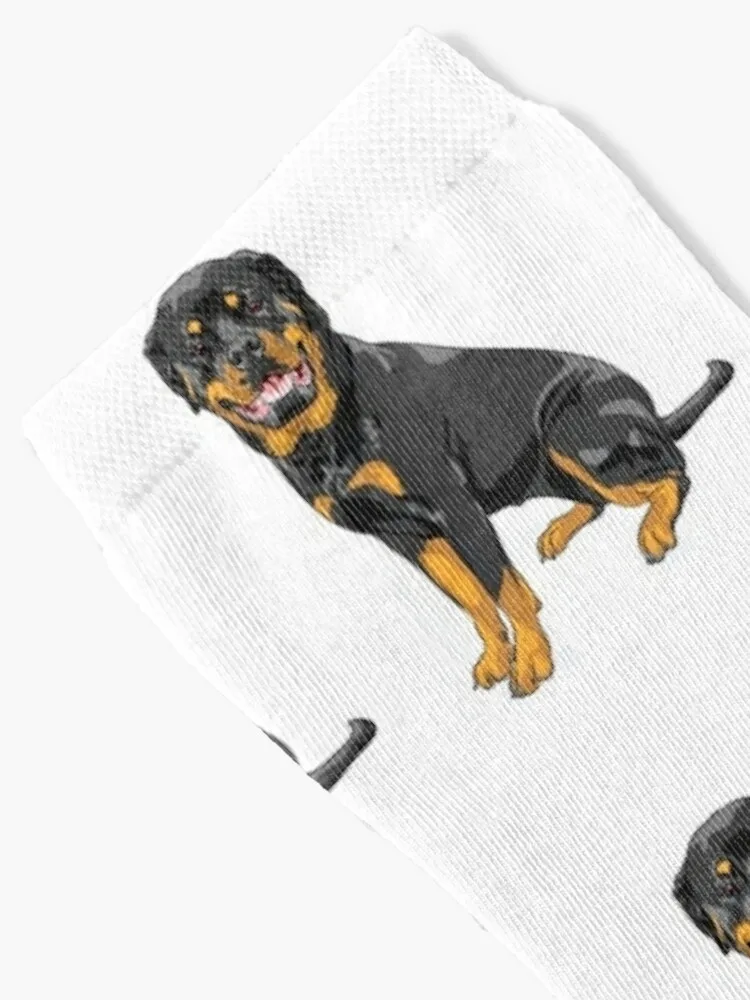 Rottweiler Dog Breed Pattern Socks sports stockings happy anime new in's Designer Man Socks Women's