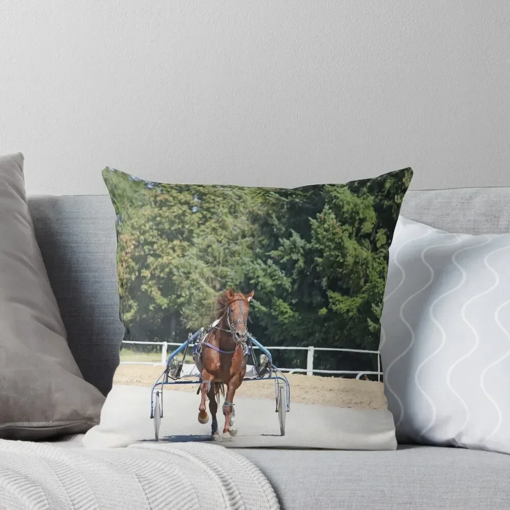 

harness racing horse trotter breed in motion Throw Pillow Anime Pillowcases Bed Cushions Covers For Sofas pillow