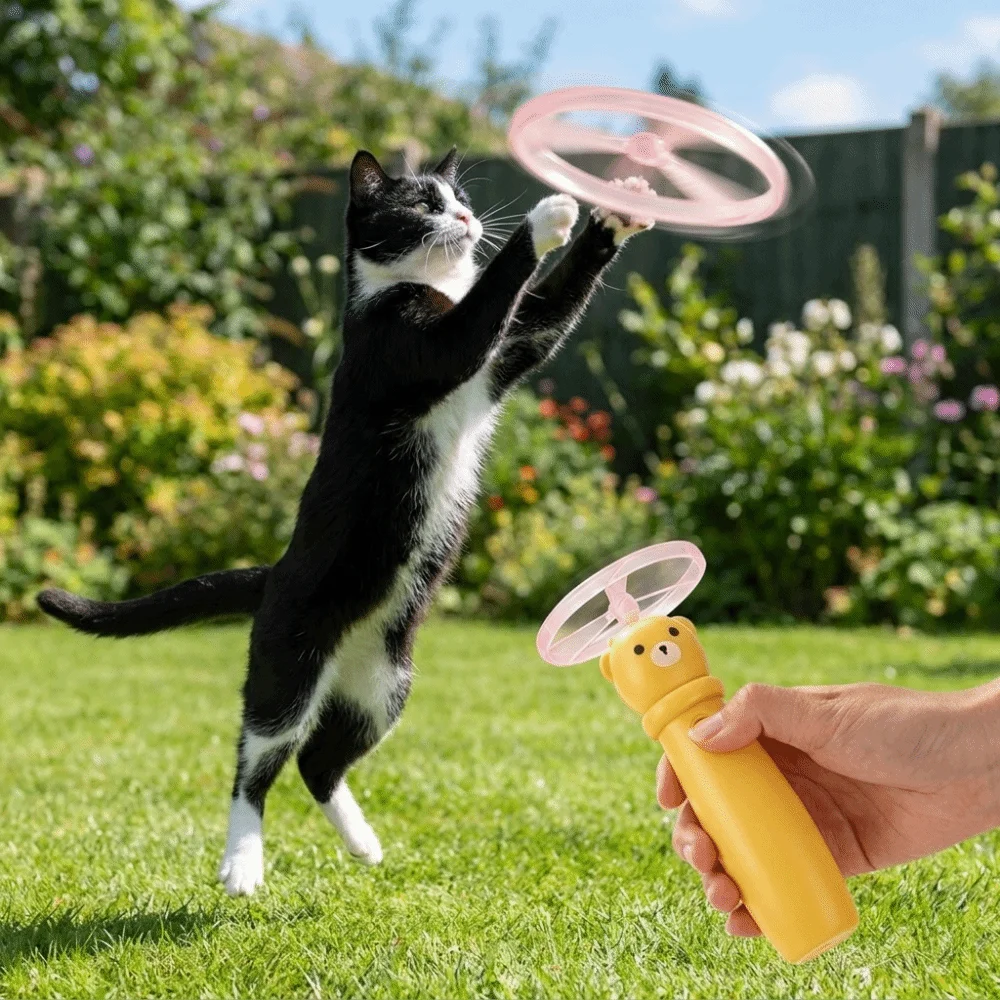 360° Rotation Butterfly Electric Cat Teaser USB Rechargeable Suction Cup Base Launching Stick Automatic Flying Disc Cat