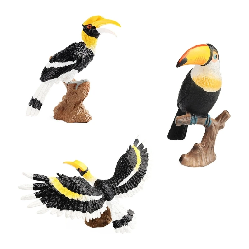 Figurine d'oiseau Toucan réaliste, modèle Animal, collection loisirs, décors bureau D5QA