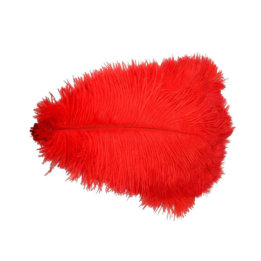 

10 Pcs Ostrich Red Mask Hair Decoration Artificial Feahers Wedding Decorations