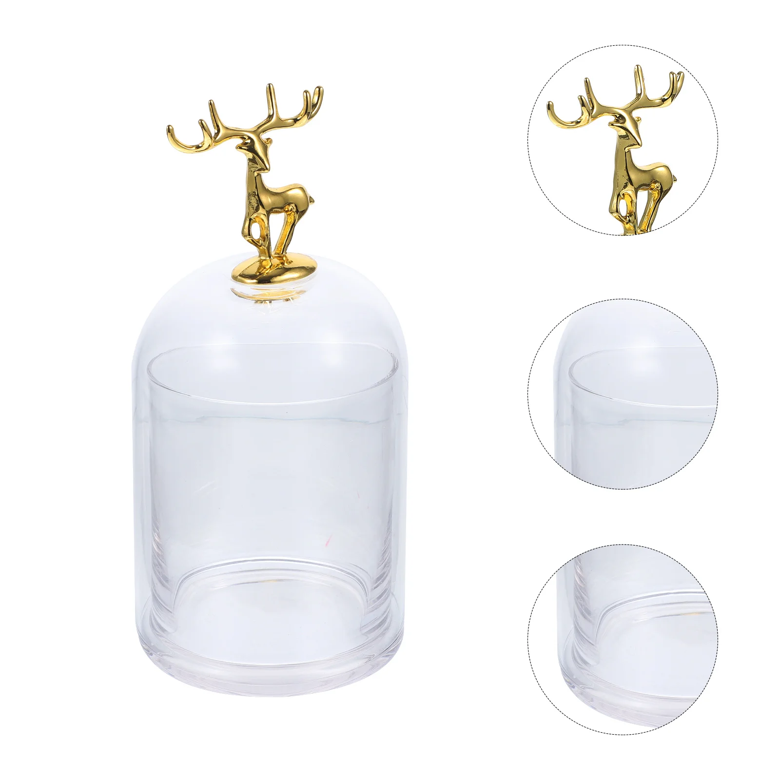 

Dried Flower Glass Preserved Flowers in Dome Arrangement Holder Adornment Eternal Cover