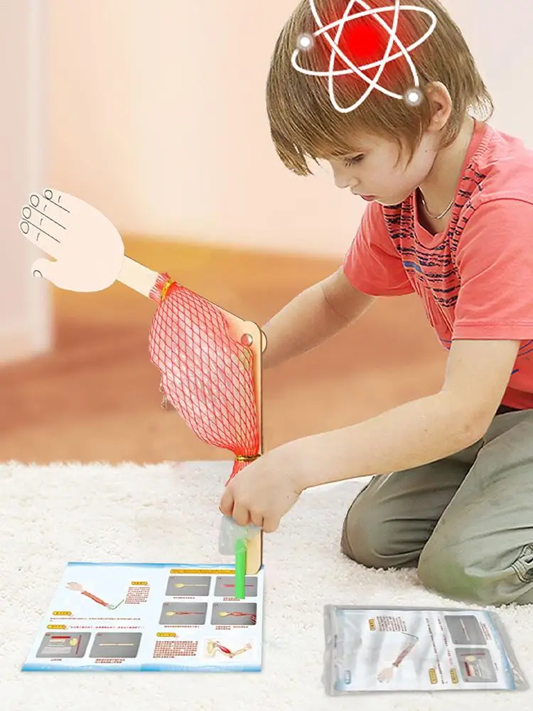 Kit de experimentos biológicos, proyecto científico interactivo, juguete, experimentos científicos, juguetes para niños, aprendizaje de ciencias, juguetes de educación temprana