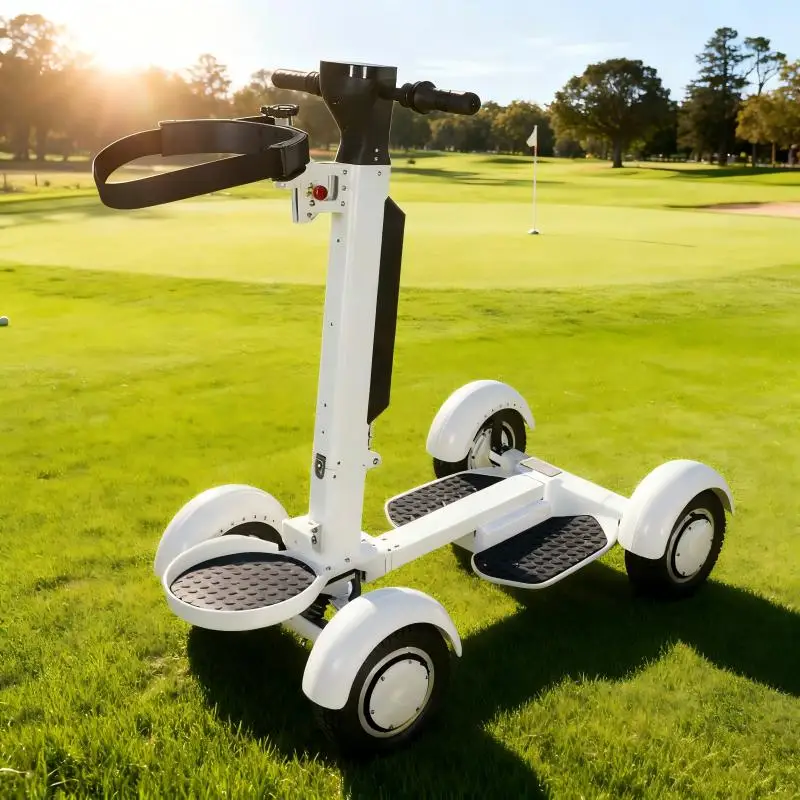 

Upgrade 350W Electric Scooter, 30KM Range & 25KM/H, Foldable Design with Shock Absorption for Adult Commuting