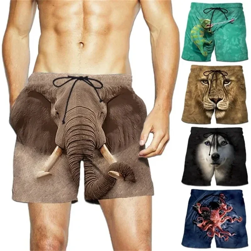 New Funny Animal Graphic Beach Shorts For Men 3d Print Cute Pet Surf Board Shorts Beachwear Casual Quick Dry Gym Swim Trunks