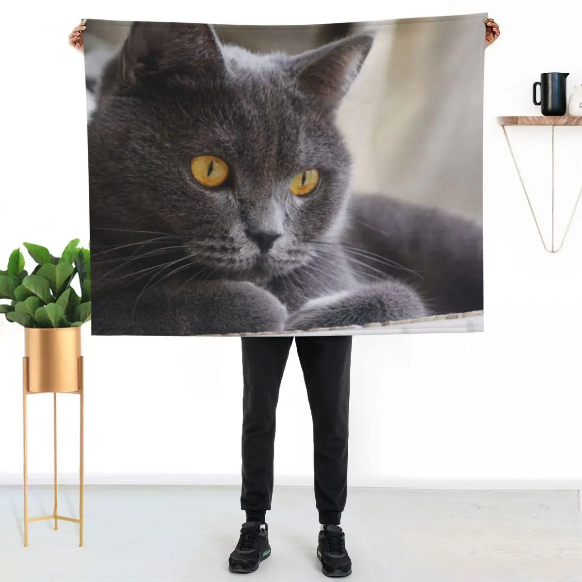 British Shorthair Cat Throw Blanket Warm Beach For Baby for babies Sofa Quilt Nap Blankets
