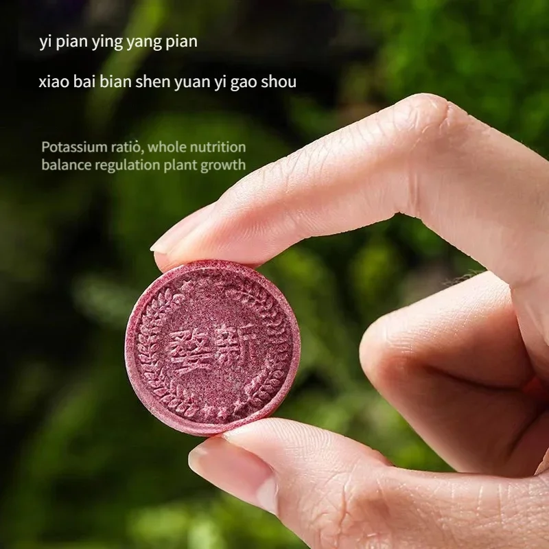 Home Gardening Slow-release Fertilizer Nitrogen Phosphorus and Potassium Slow-release Tablets Indoor Flowers