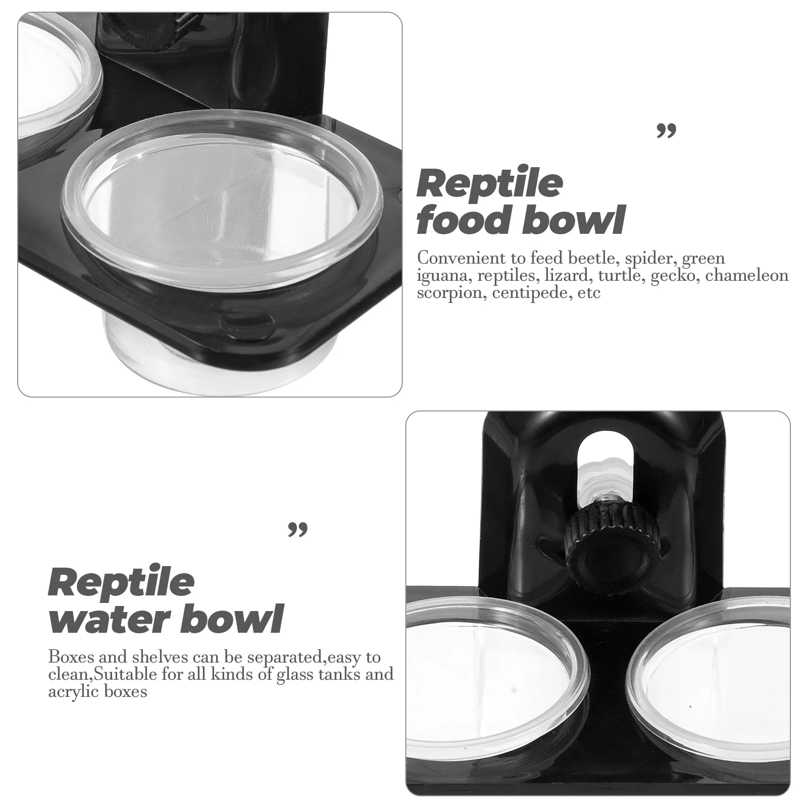 

Reptile Food Water Bowl Solid Construction Stable Install Glass Tanks Acrylic Boxes Easy Clean Lizard Turtle Gecko Feeding