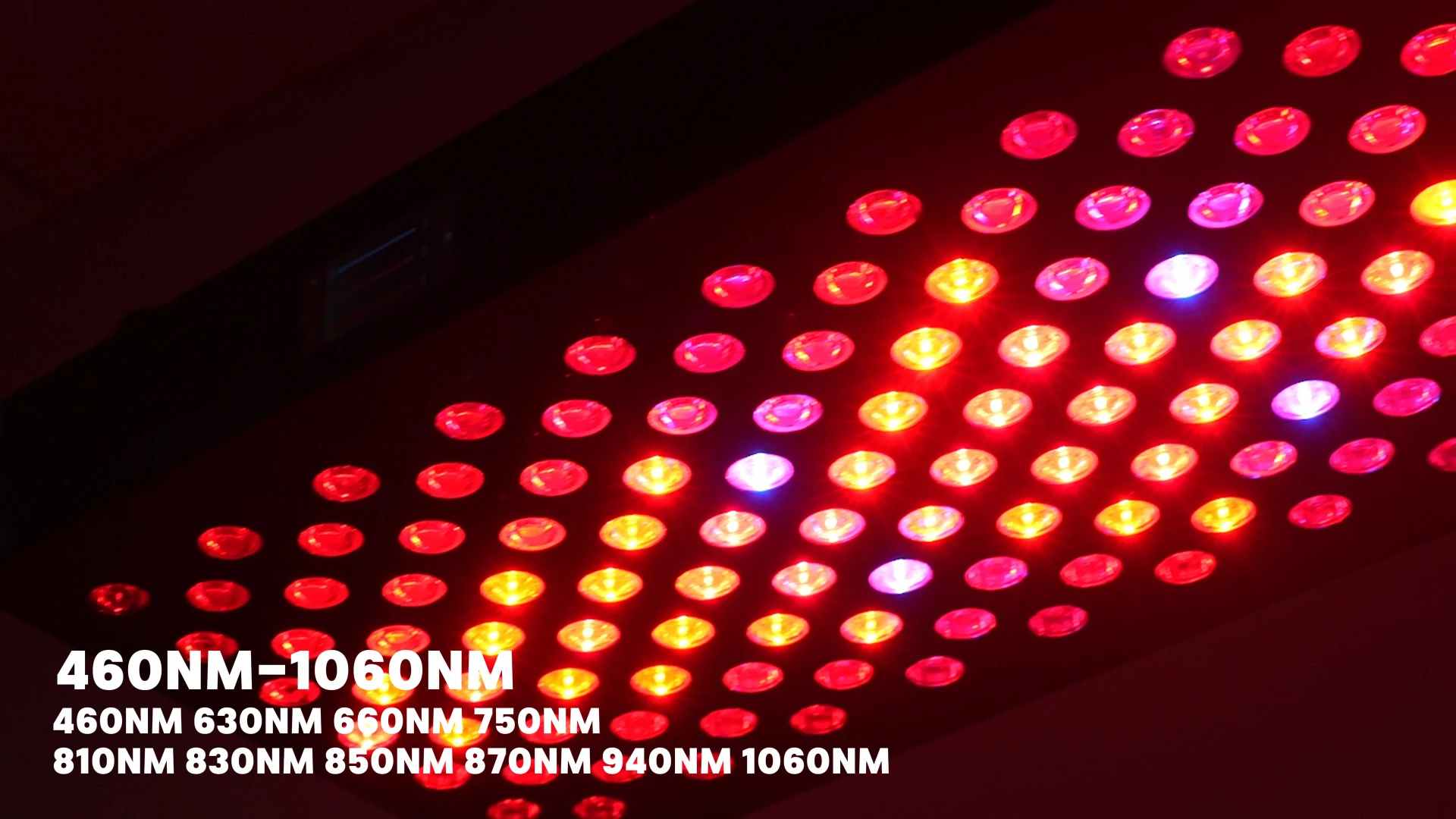 Voice Control Full Body Red Light Therapy SPA Sauna LED Light Therapy Panel Infrared Light Therapy Panel