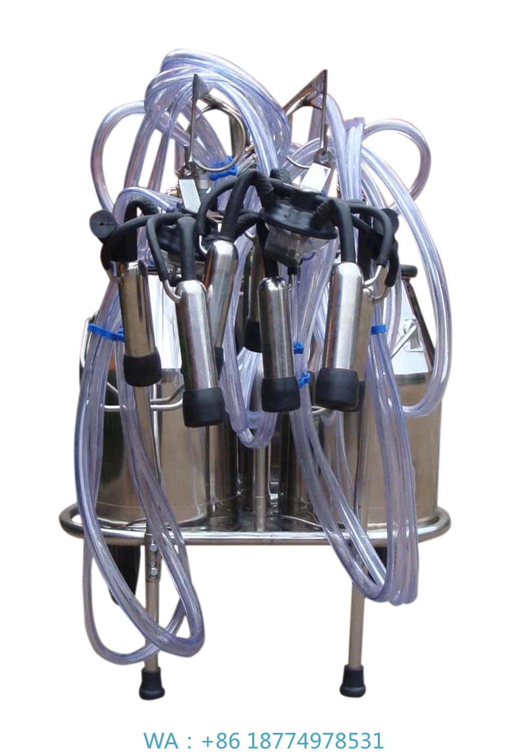 

Автоматическая доильная машина с электродвигателем. Простое управление. Изготовление молока с двойным стволом из нержавеющей стали.