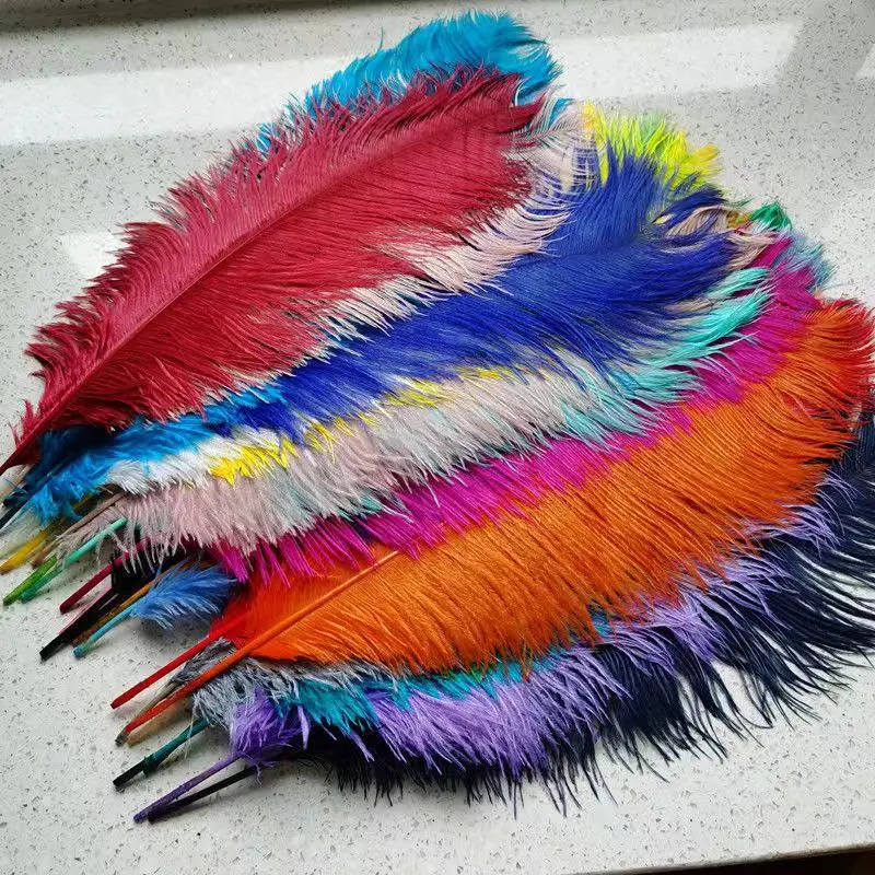 60-65cm Large-Sized Ostrich Feather Carnival Samba Dance Dress DIY Material Wedding Party Decoration