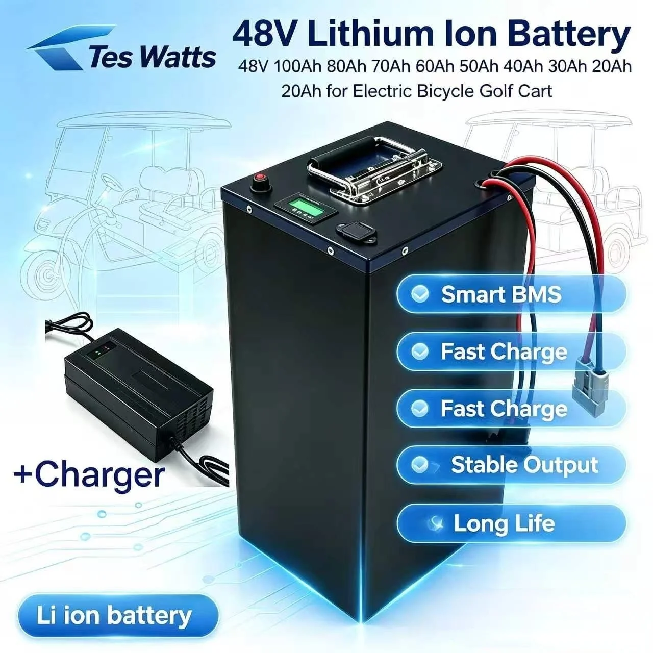 48V 100Ah 80Ah 70Ah 60Ah 50Ah 40Ah 30Ah 20Ah Lithium Ion Battery for Elektrofahrrä de vélo électrique de bicicleta Golf cart
