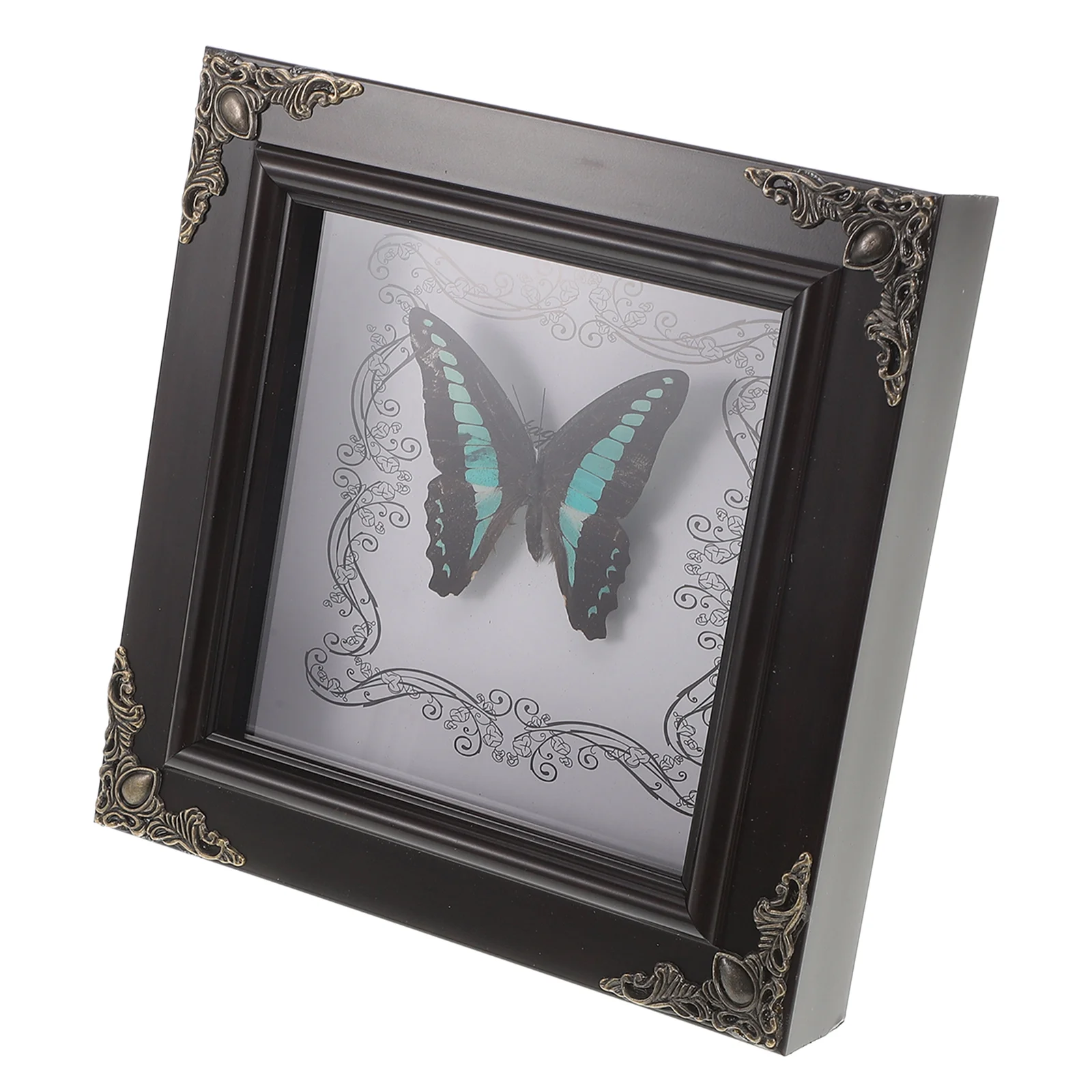 

Butterfly Photo Frame Display Case Retro Decor Specimen Picture Real Wooden Acrylic Home Decorations Framed in