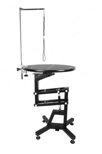 Pet Teddy than Panda Dog Beauty Modeling Pneumatic Lifting Rotating Shearing Beauty Table Cosmetic Table