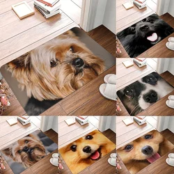 Bedroom Balcony Non-Slip Rug Entrance Door Mat Floor  Dog Funny Pug Schnauzer Kitchen Living Room