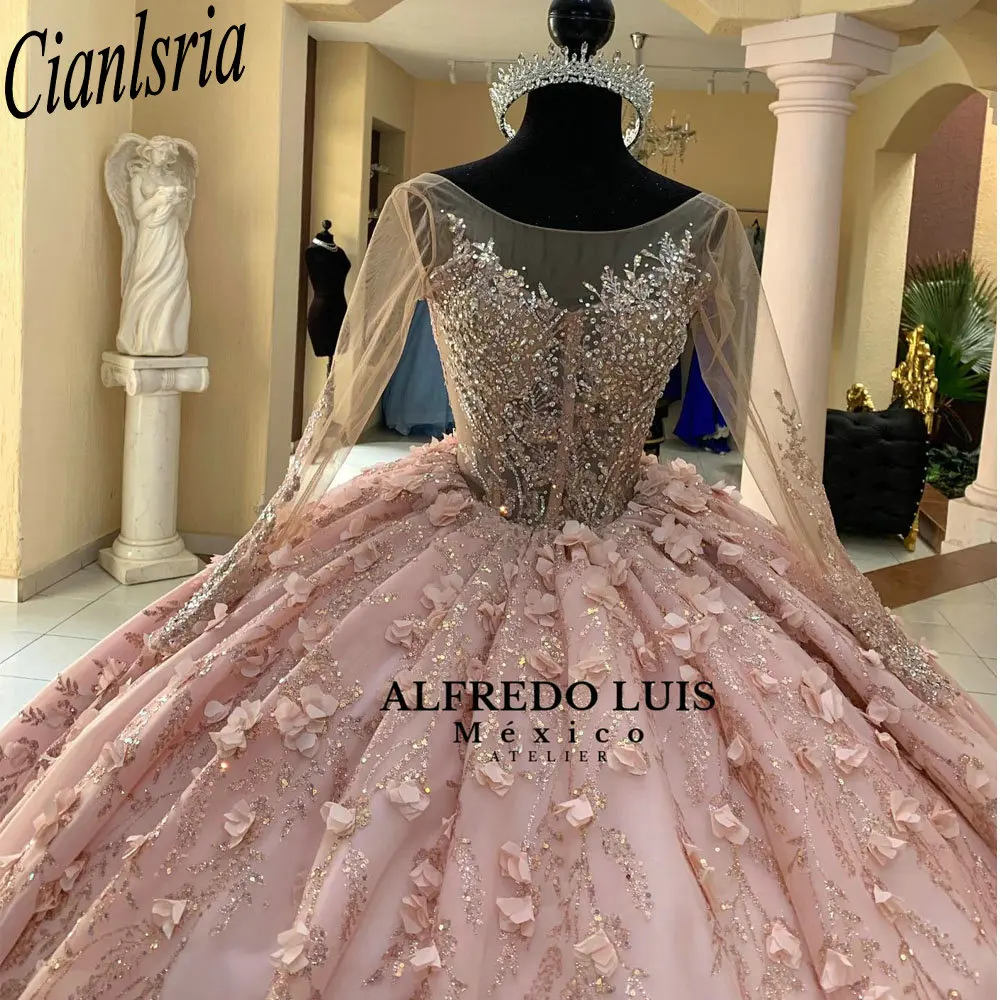 Pink Illusion Long Sleeve Beading Crystal Quinceanera Dresses Ball Gown 3D Flowers Appliques Lace Sweet 15 Birthday Party image 3